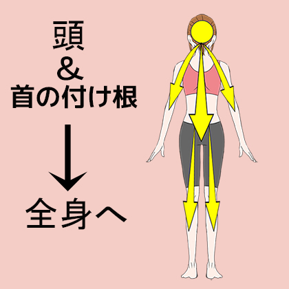 頭と頸椎から全身へ影響が広がる様子を表した矢印付きイラスト